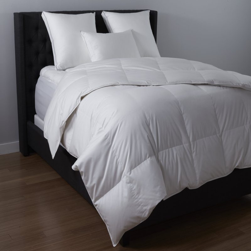 AAFA Duck Down Comforter 034