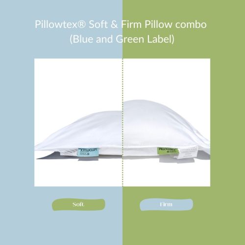 PillowtexBlue GreenTagPillow