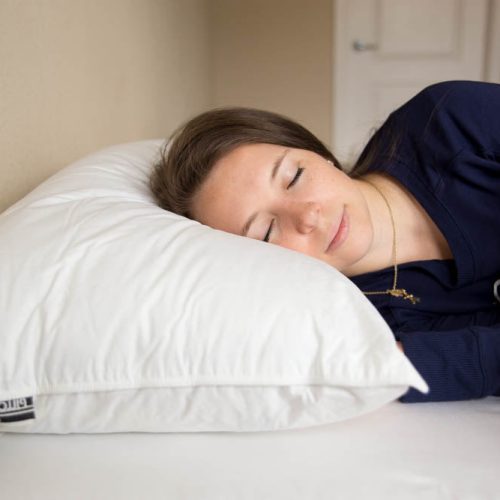 pillowtex premium polyester fill pillow 50