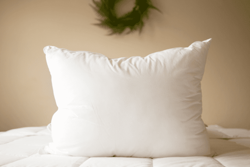 pillowtex reg firm premium polyester pillow 43