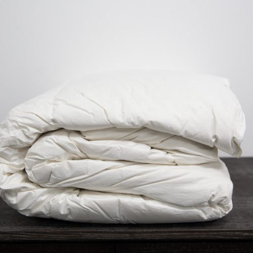 pillowtex reg high end down comforter 17