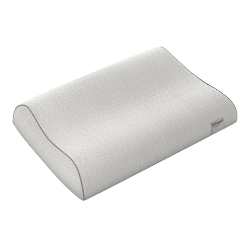 technogel reg anatomic pillows 33