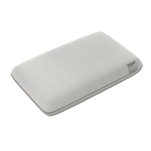 technogel reg deluxe pillow 19